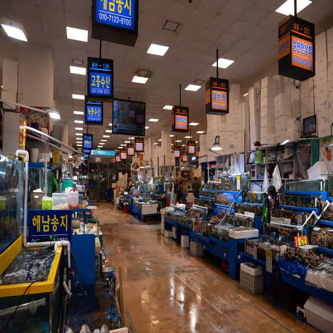 image n.2 of Seoul: The Biggest Sea-food Noryangjin Market Food Tour activity in Seoul, uploaded by supplier