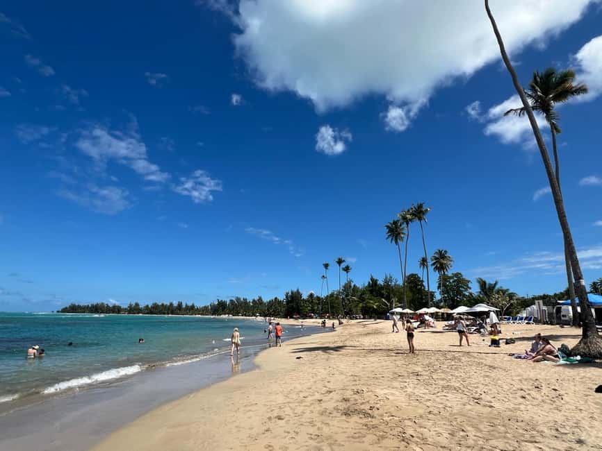 Obraz nr 41 z atrakcji Las deszczowy El Yunque; zjeżdżalnie wodne, plaża, posiłek i wycieczka po sklepach w Río Grande, Portoryko, przesłany przez organizatora