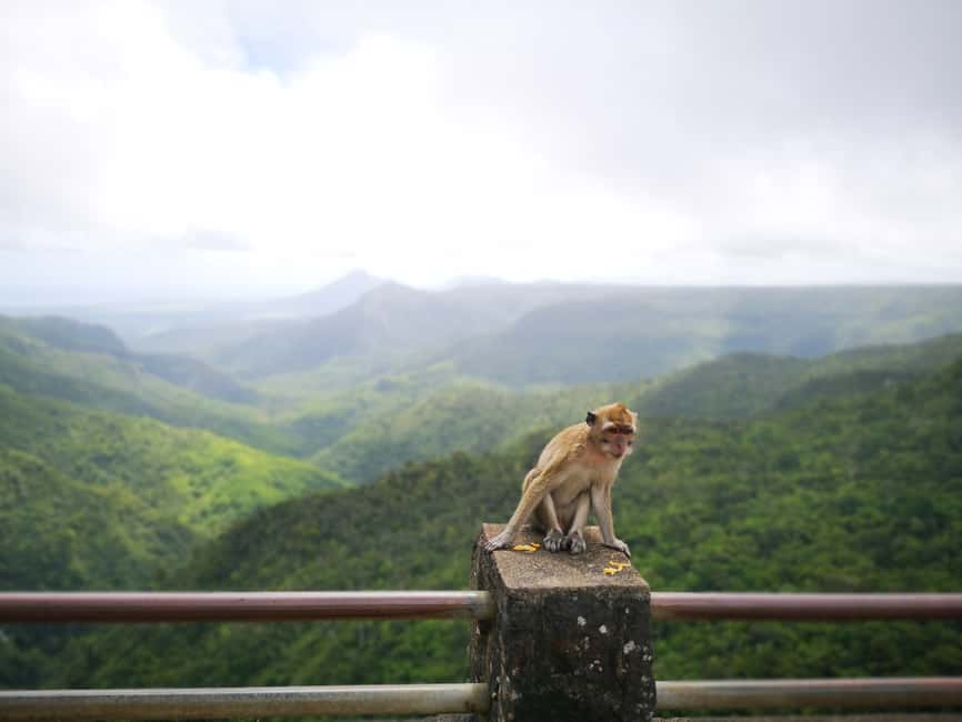 Immagine nº 6 di Mauritius: Tour privato a sud-ovest con prelievo attività a Mauritius, caricata dal fornitore