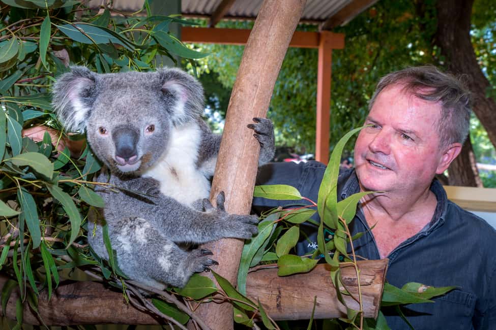 image n.7 of Sydney: Blue Mountains Waterfalls and Koalas Late Start Tour activity in Katoomba, uploaded by supplier