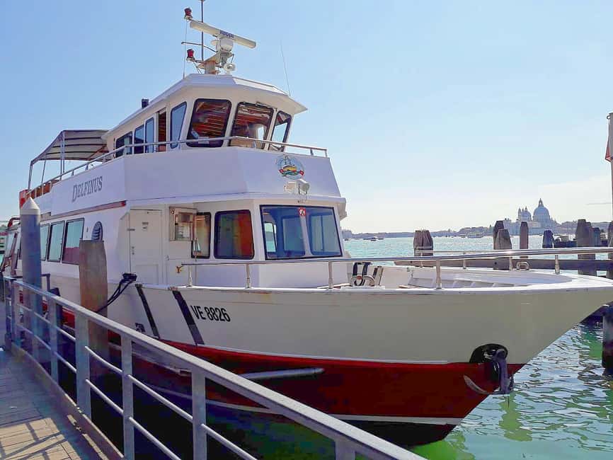 Bild Nr. 2 von Venedig: Murano & Burano Panoramabootstour mit Glasbläserei Aktivität in Venedig, hochgeladen vom Anbieter