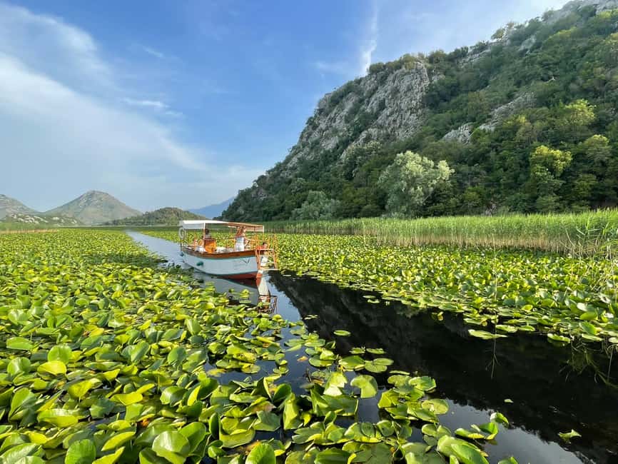 image n.22 of Virpazar: Skadar Lake Guided Nature Cruise with Drinks activity in Podgorica Municipality, uploaded by supplier