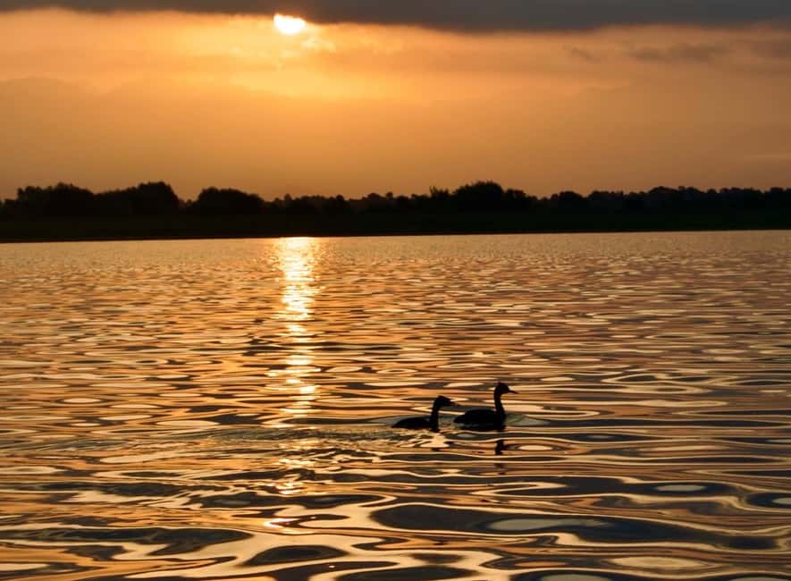 image n.30 of Virpazar: Skadar Lake Guided Nature Cruise with Drinks activity in Podgorica Municipality, uploaded by supplier