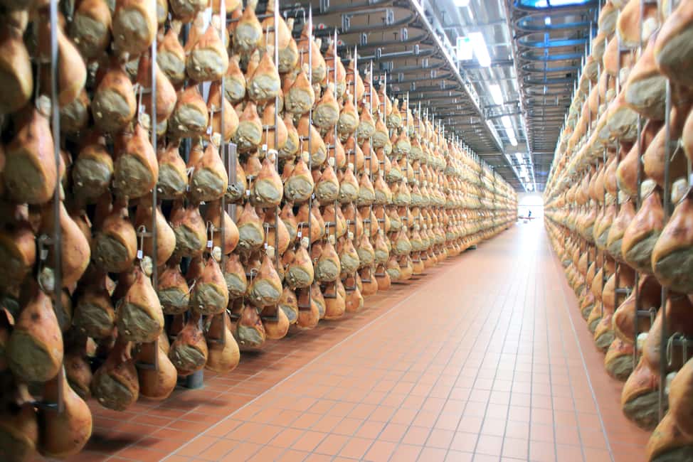image n.3 of From Bologna or Modena: Parma Gastronomic Tour with Lunch activity in Langhirano, uploaded by supplier