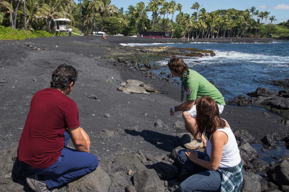 image n.6 of Big Island: Volcanoes, Waterfalls, & Coffee Farm Day-Trip activity in Naalehu, Hawaii, uploaded by supplier