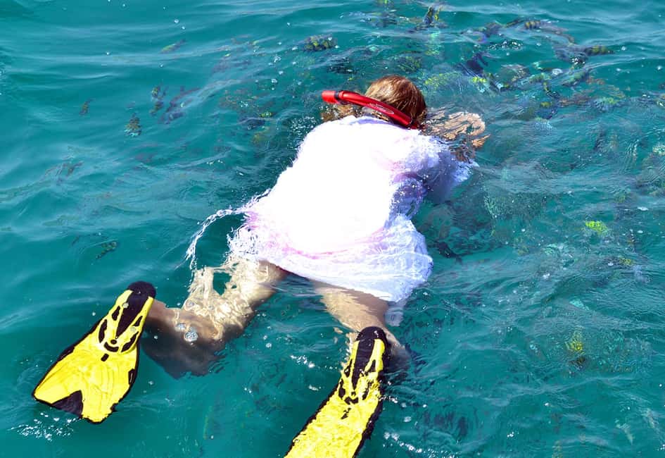 Immagine nº 2 di Da Khasab: Tour di mezza giornata di snorkeling con osservazione dei delfini attività a Mascate, caricata dal fornitore