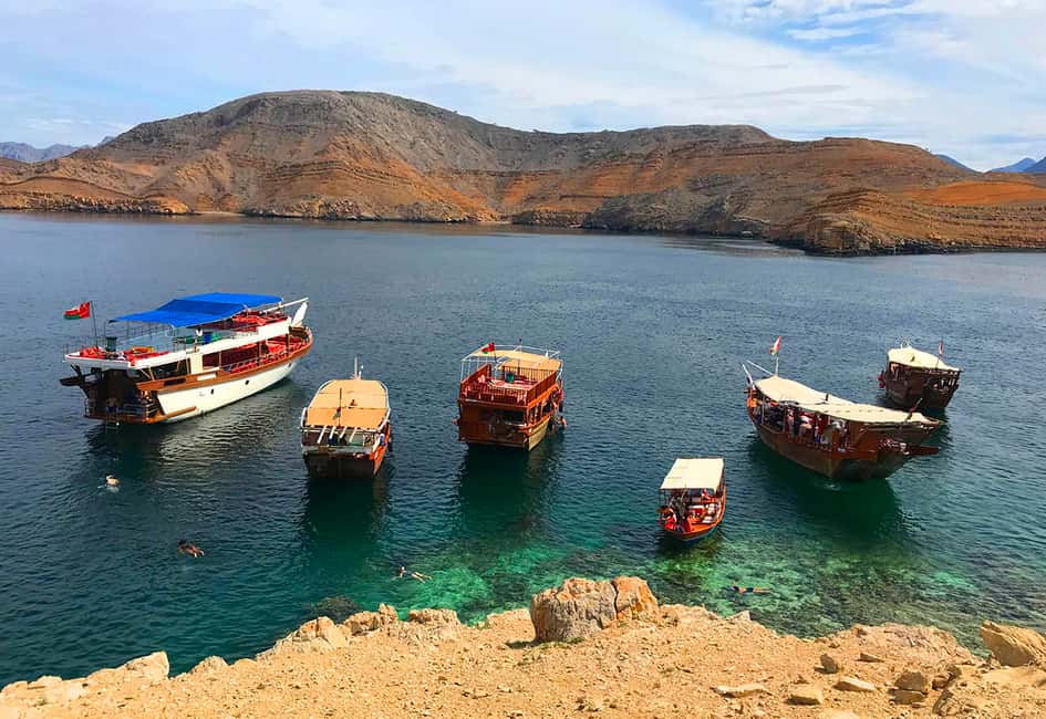 Immagine nº 6 di Da Khasab: Tour di mezza giornata di snorkeling con osservazione dei delfini attività a Mascate, caricata dal fornitore