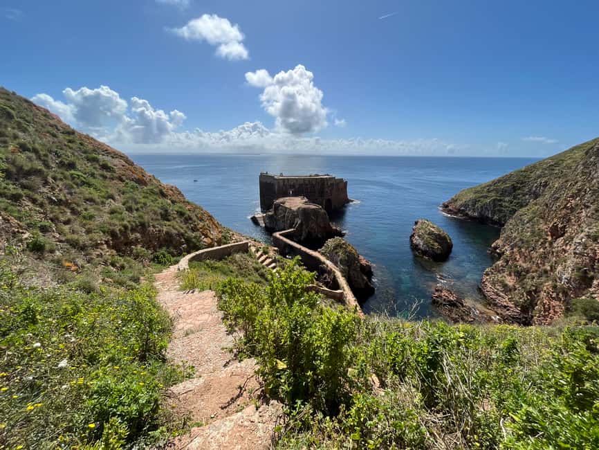 image n.6 of From Lisbon: Berlenga Grande Sightseeing Tour activity in Peniche, uploaded by supplier