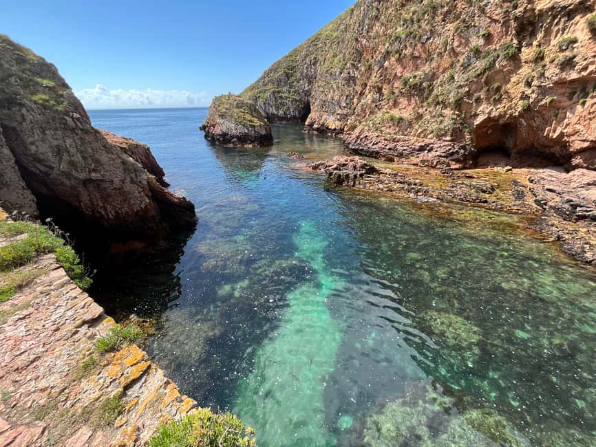 image n.4 of From Lisbon: Berlenga Grande Sightseeing Tour activity in Peniche, uploaded by supplier