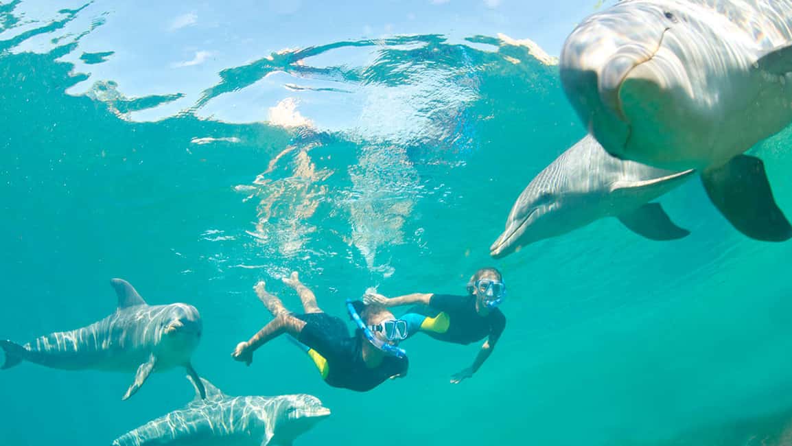 image n.3 of Île aux Bénitiers: Snorkeling w/Dolphins Boat Tour & Lunch activity in Mauritius, uploaded by supplier