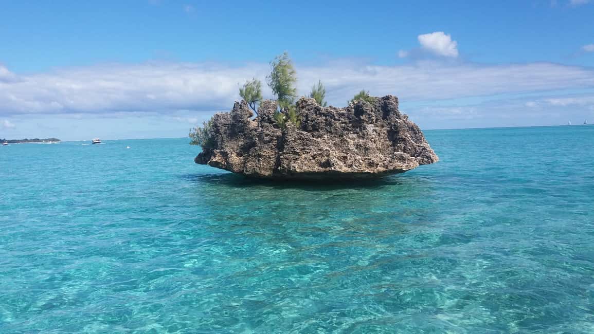 image n.5 of Île aux Bénitiers: Snorkeling w/Dolphins Boat Tour & Lunch activity in Mauritius, uploaded by supplier