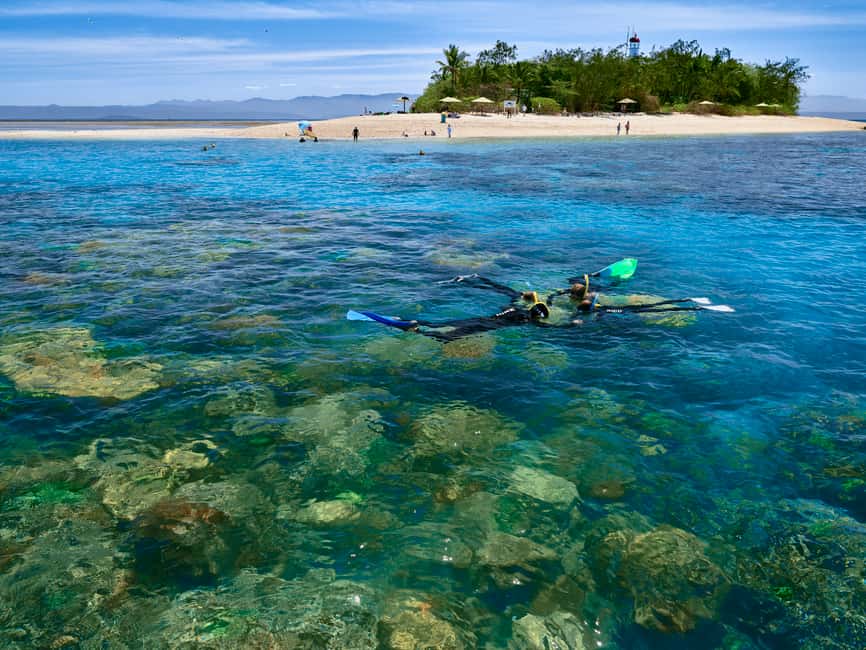 image n.3 of From Port Douglas: Low Isles Great Barrier Reef Sailing Tour activity in Queensland, uploaded by supplier