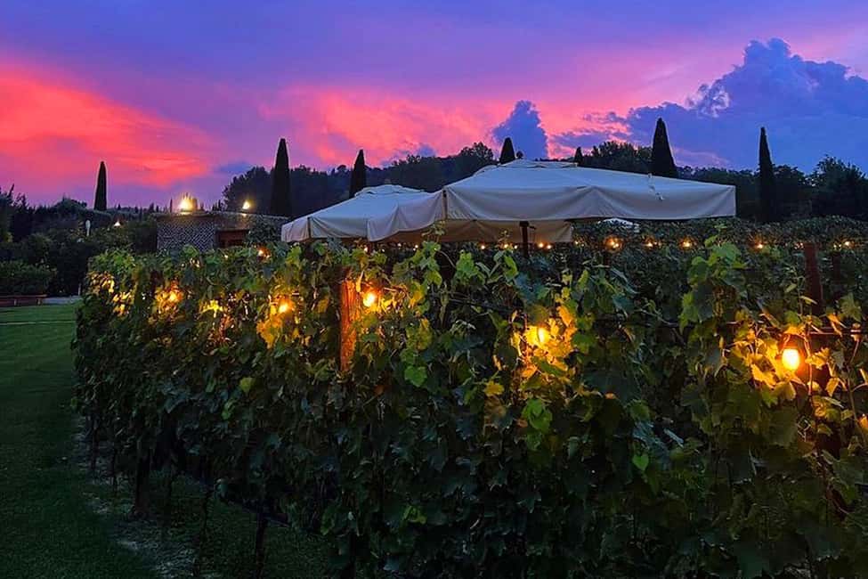 image n.5 of San Gimignano: Romantic Vineyard Dinner activity in San Gimignano, uploaded by supplier