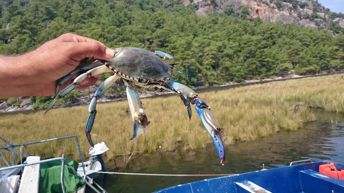 bild nr.4 av Marmaris: Dalyan Turtle Beach Tour med gyttjebad och lunch aktivitet i Dalyan, uppladdad av arrangören