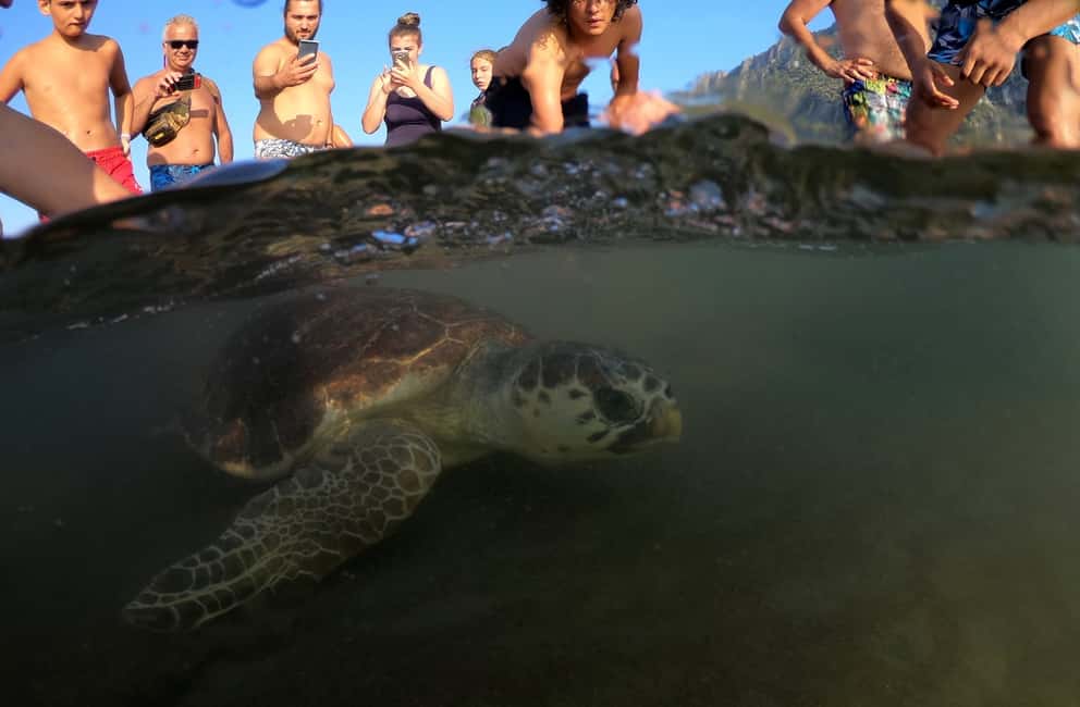 bild nr.3 av Marmaris: Dalyan Turtle Beach Tour med gyttjebad och lunch aktivitet i Dalyan, uppladdad av arrangören