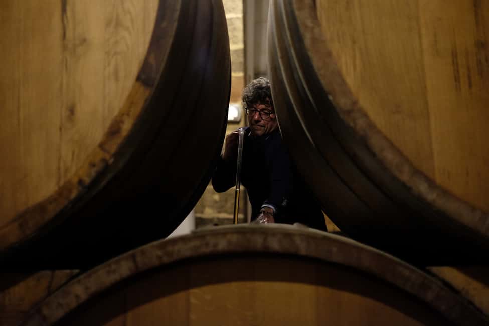 image n.3 of Marsala: Florio Winery Tour with Local Wine Tasting activity in Marsala, uploaded by supplier