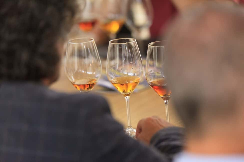 image n.1 of Marsala: Florio Winery Tour with Local Wine Tasting activity in Marsala, uploaded by supplier