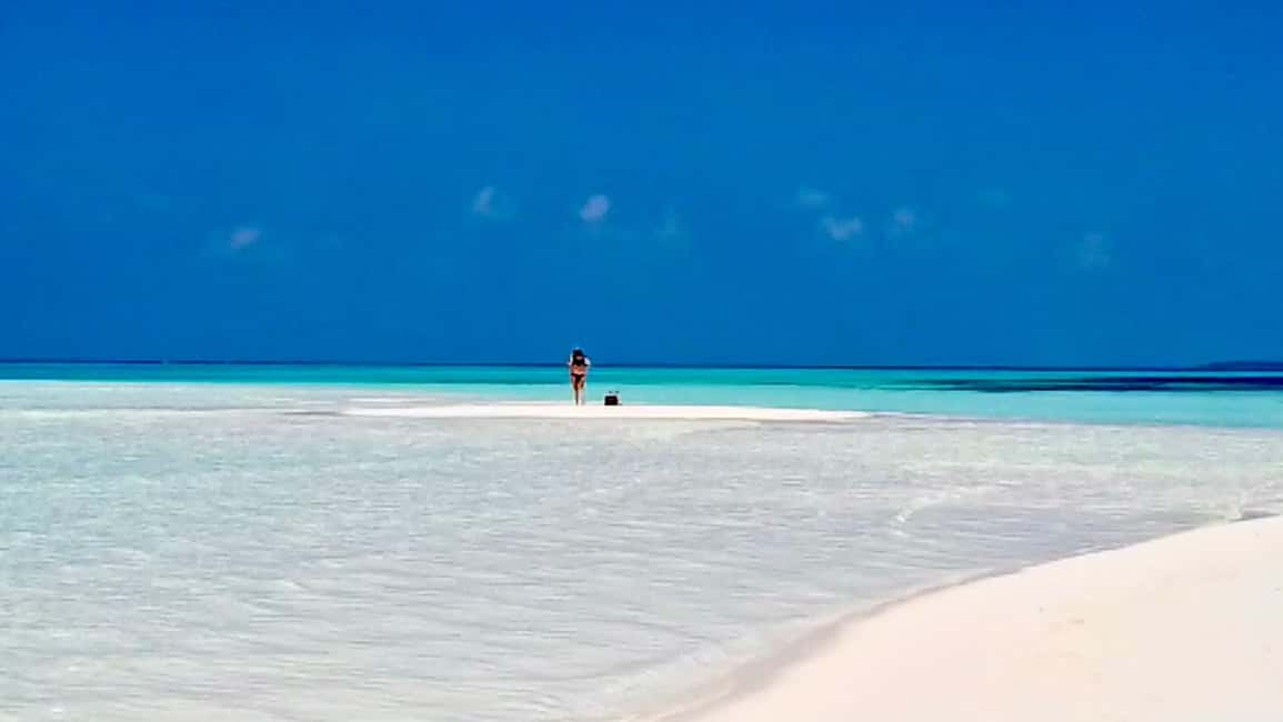 image n.9 of Kiwengwa/Zanzibar: Mnemba, Kuza Cave & Jozani Forest Tour activity in Jambiani, uploaded by supplier