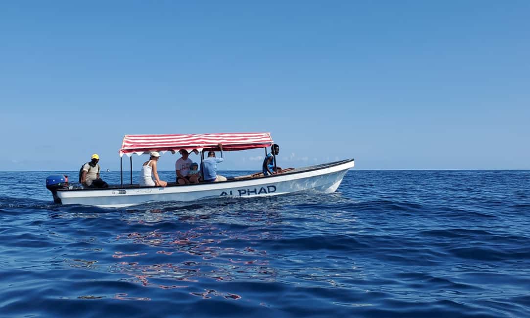 image n.10 of Kiwengwa/Zanzibar: Mnemba, Kuza Cave & Jozani Forest Tour activity in Jambiani, uploaded by supplier