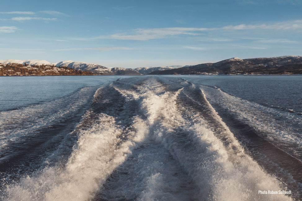 Bild Nr. 17 von Bergen: Mostraumen Fjord & Wasserfall-Kreuzfahrt Aktivität in Hordaland, hochgeladen vom Anbieter