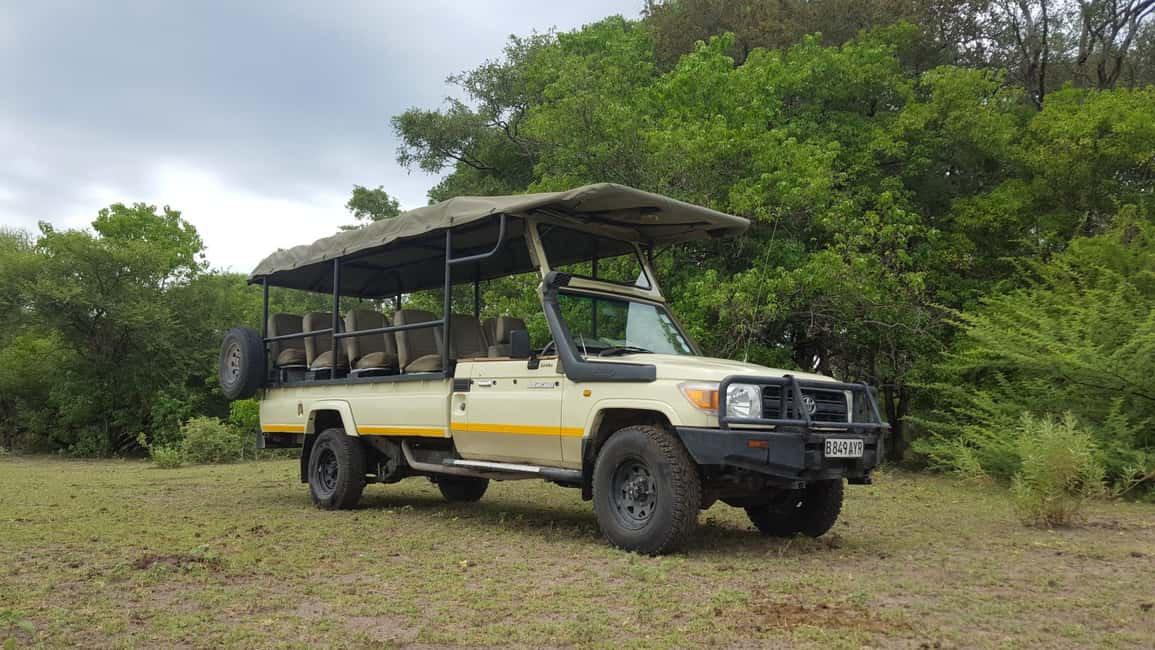 image n.2 of Safari : Big 5 - Hwange National Park Safari Day Tour activity in Victoria Falls Town, uploaded by supplier