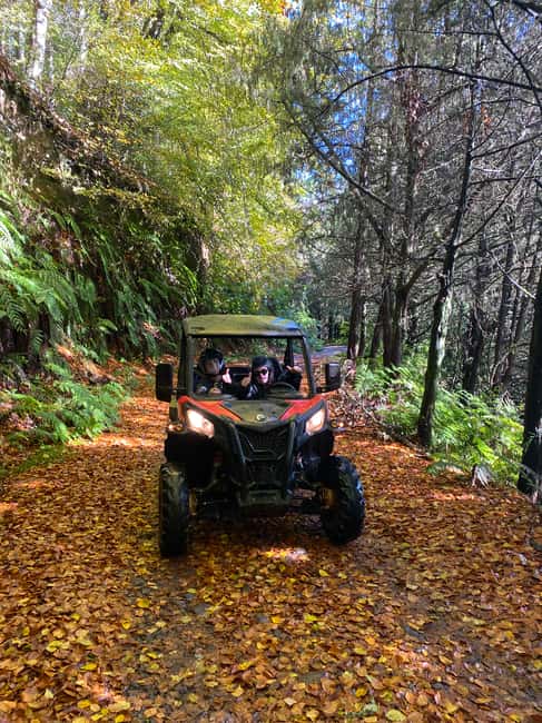 image n.5 of Madeira: Off-Road Buggy Driving Experience activity in Madeira, uploaded by supplier