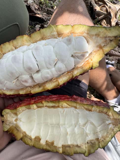 imagem n.1 de Guatapé: Oficina de Fabricação de Chocolate atividade em Guatapé, carregada pelo fornecedor