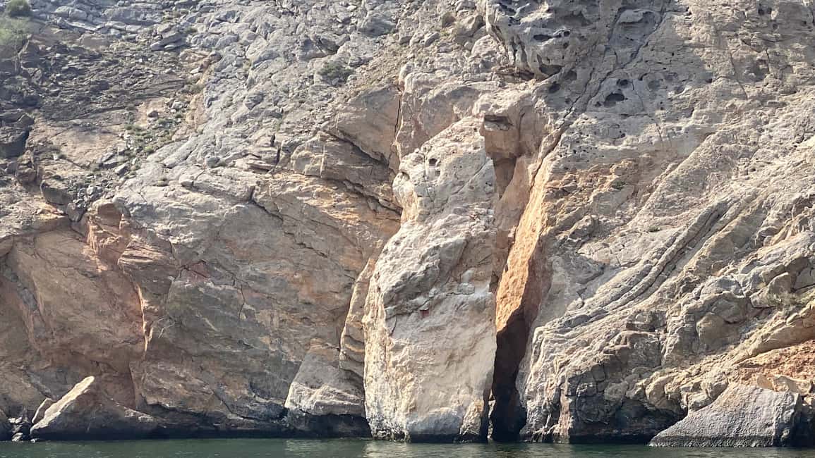 Immagine nº 9 di Khasab: Osservazione dei delfini, Snorkeling con attrezzatura e Pranzo attività a Mascate, caricata dal fornitore