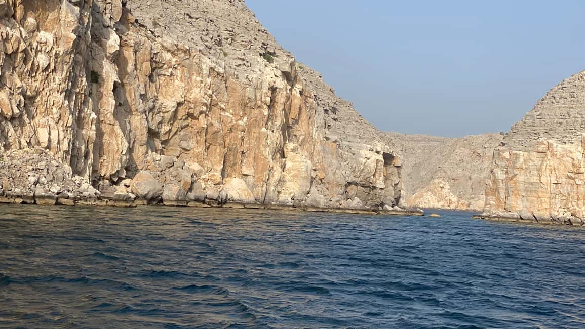 Immagine nº 11 di Khasab: Osservazione dei delfini, Snorkeling con attrezzatura e Pranzo attività a Mascate, caricata dal fornitore