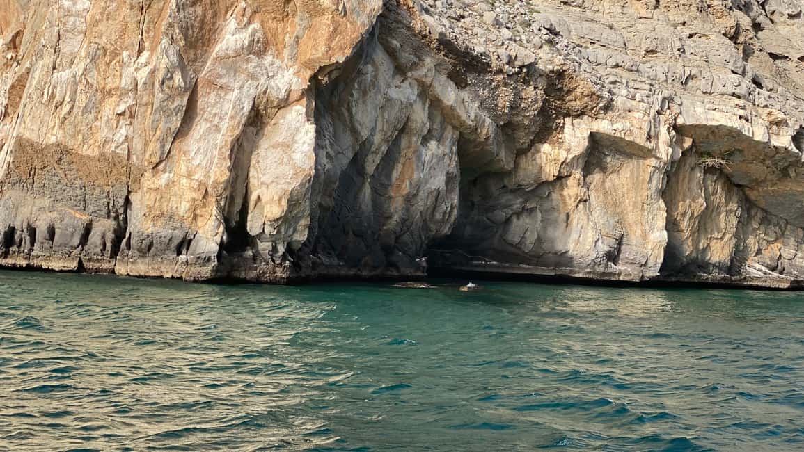 Immagine nº 12 di Khasab: Osservazione dei delfini, Snorkeling con attrezzatura e Pranzo attività a Mascate, caricata dal fornitore