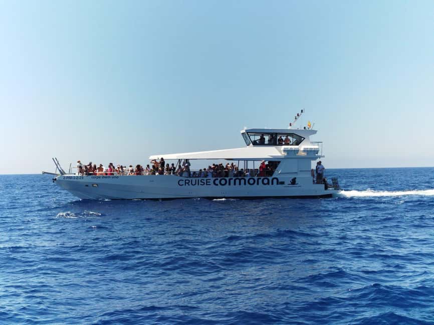 Bild Nr. 1 von Von Palma: 3-stündige Bootstour zur Delfinbeobachtung am Morgen Aktivität in Palma de Mallorca, hochgeladen vom Anbieter
