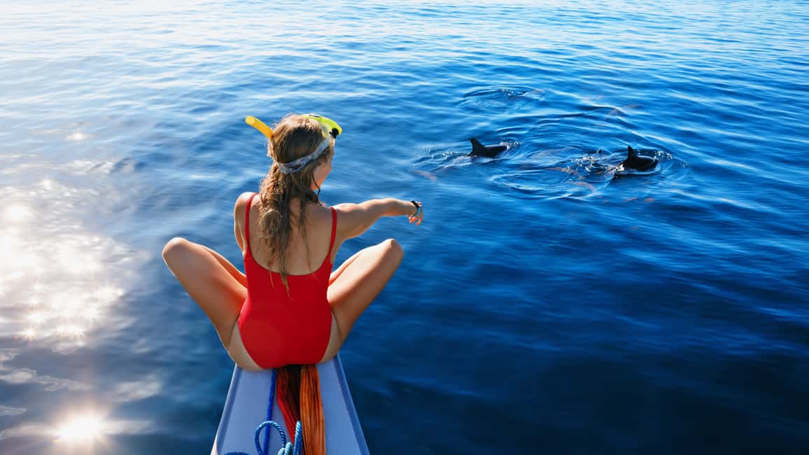 image n.7 of Cinque Terre & Portovenere: Boat Tour activity in Liguria, uploaded by supplier