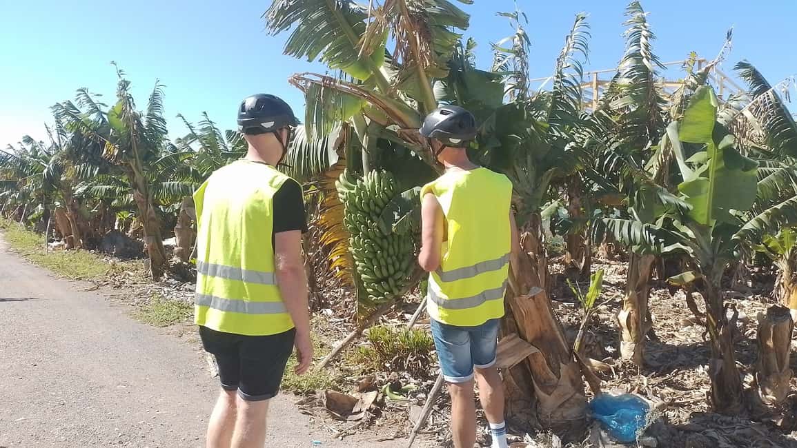 imagen n.º 6 de Maspalomas: Ruta en E-Bike por la Costa Sur Opción Degustación de Tapas actividad en El Pajar, subida por el proveedor
