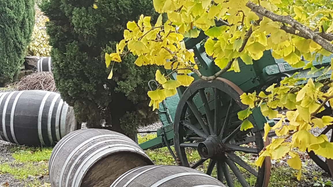 image n.15 of From Rome: Frascati Wine Region Tour with Wine Tasting activity in Rome, uploaded by supplier