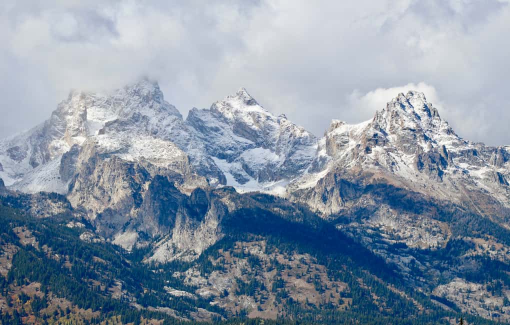image n.12 of From Jackson: Half-Day Grand Teton National Park Tour activity in Jackson, Wyoming, uploaded by supplier
