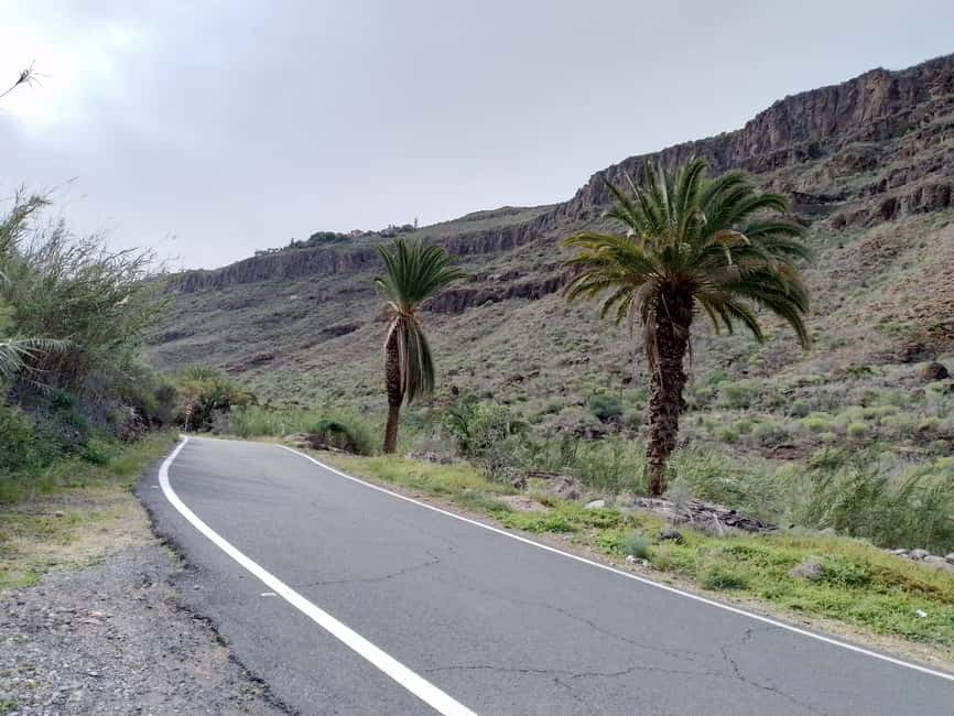 imagen n.º 34 de Maspalomas: Ruta en E-Bike por la Costa Sur Opción Degustación de Tapas actividad en El Pajar, subida por el proveedor