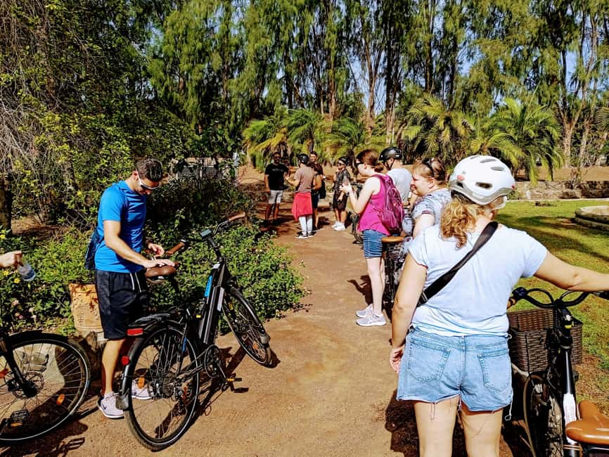 imagen n.º 10 de Maspalomas: Ruta en E-Bike por la Costa Sur Opción Degustación de Tapas actividad en El Pajar, subida por el proveedor