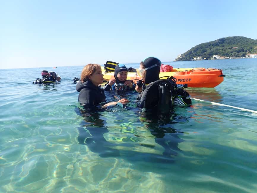 image n.2 of Lisbon: Try Dive in Arrábida Marine Reserve Setubal Sesimbra activity in Sesimbra, uploaded by supplier