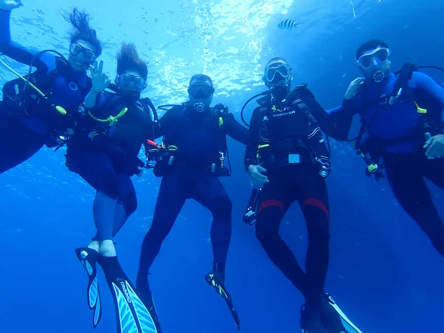 image n.6 of Lisbon: Try Dive in Arrábida Marine Reserve Setubal Sesimbra activity in Sesimbra, uploaded by supplier