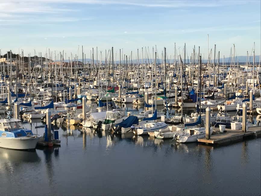 image n.4 of Monterey Peninsula Sightseeing Tour including 17 Mile Drive activity in California, uploaded by supplier