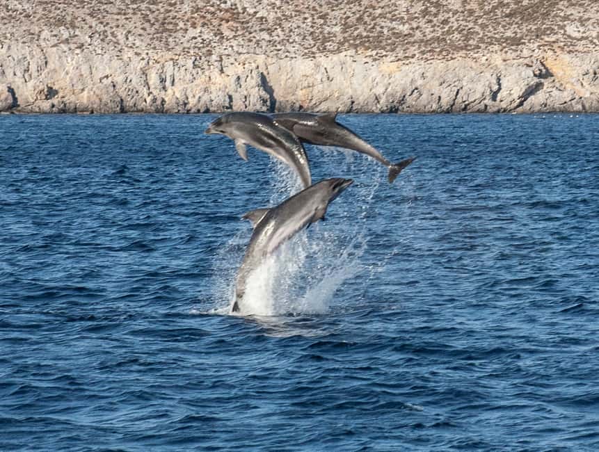 image n.1 of From Ag Anna: Rina's Cave and Ano and Kato Koufonisi Cruise activity in Cyclades, uploaded by supplier