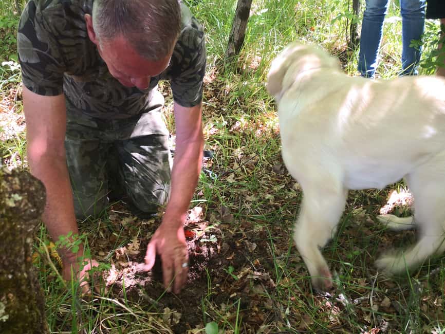 image n.2 of Gažon - Istria: Truffle Hunting & Cooking & Tasting activity in Gazon, uploaded by supplier