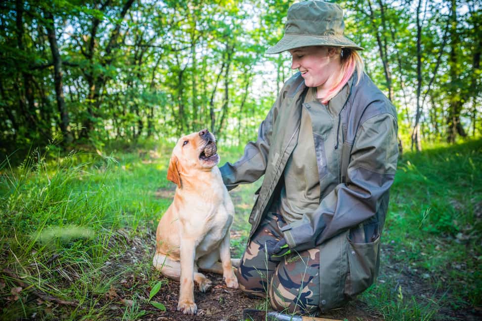 image n.3 of Gažon - Istria: Truffle Hunting & Cooking & Tasting activity in Gazon, uploaded by supplier