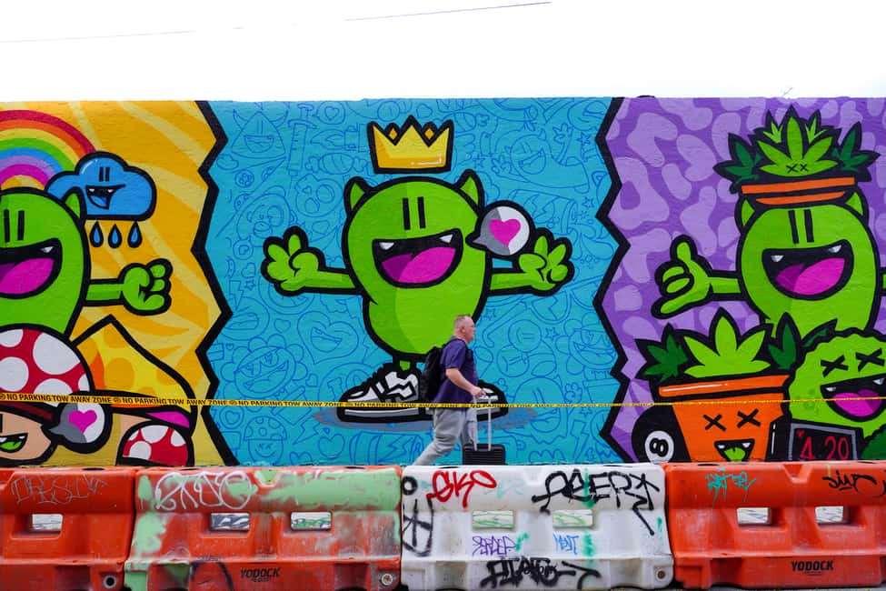 imagen n.º 5 de Recorrido de 1 hora por el distrito artístico de Wynwood en buggies de arte urbano actividad en Miami, subida por el proveedor