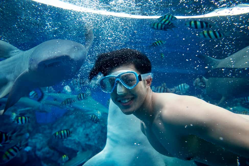image n.15 of Singapore: Adventure Cove Waterpark Entrance Ticket activity in Singapore, uploaded by supplier