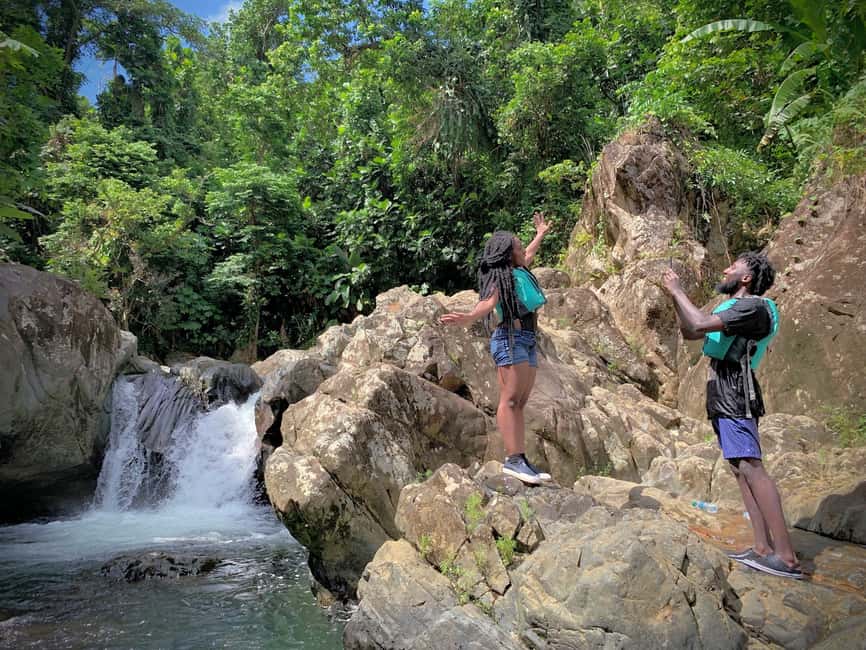 billede nr.27 af aktiviteten San Juan: El Yunque og Bio Bay heldagstur med transport i Río Grande, Puerto Rico, uploadet af udbyder