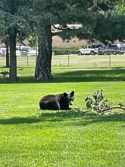 image n.8 of Cheyenne Cañon Art and Nature Segway Tour activity in Colorado Springs, uploaded by supplier