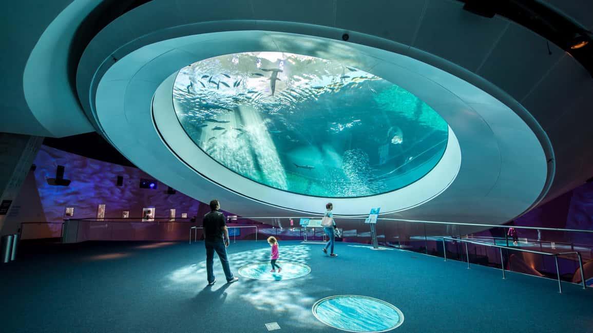 image n.17 of Miami: Frost Museum of Science and Planetarium Entry Ticket activity in Miami, uploaded by supplier