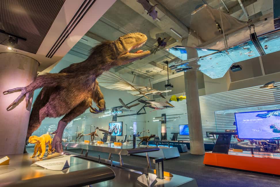 image n.3 of Miami: Frost Museum of Science and Planetarium Entry Ticket activity in Miami, uploaded by supplier