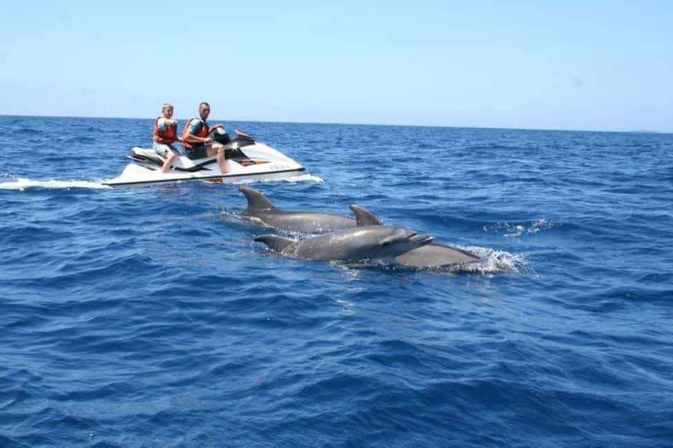 image n.5 of Destin: Crab Island Dolphin Watching Jet Ski Tour activity in Destin, uploaded by supplier